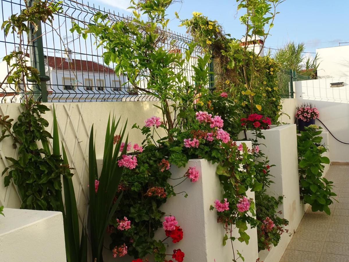 Casa Dos 2 Patios By Stay In Alentejo Вила Нова де Милфонтеш Екстериор снимка
