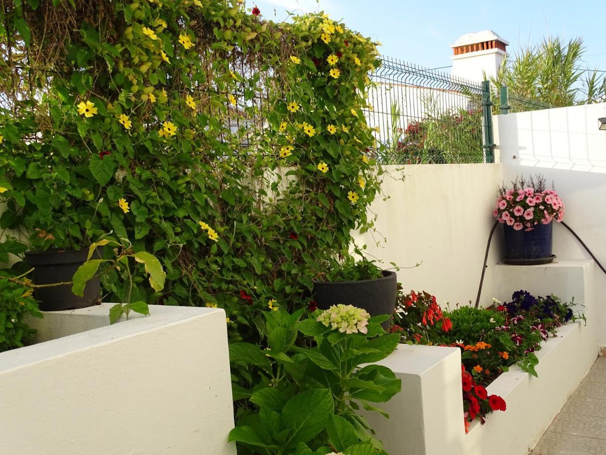 Casa Dos 2 Patios By Stay In Alentejo Вила Нова де Милфонтеш Екстериор снимка